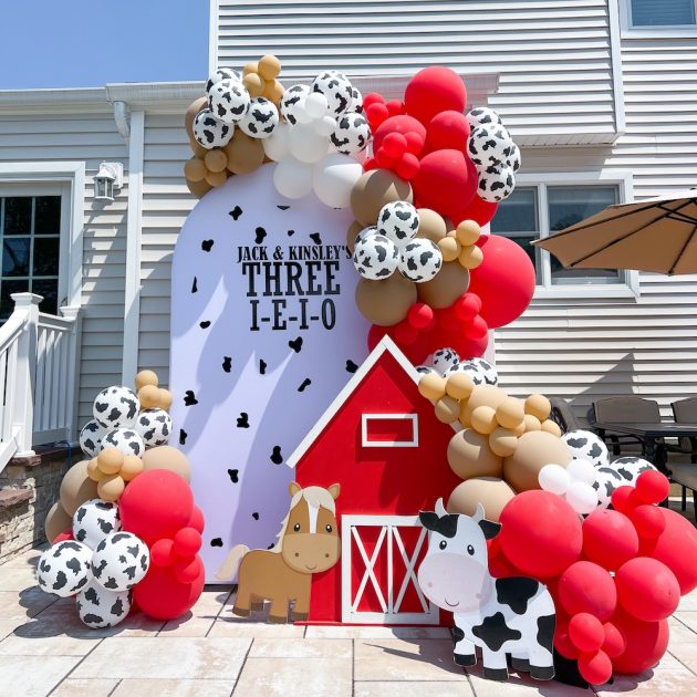 Rodeo Balloon Kit